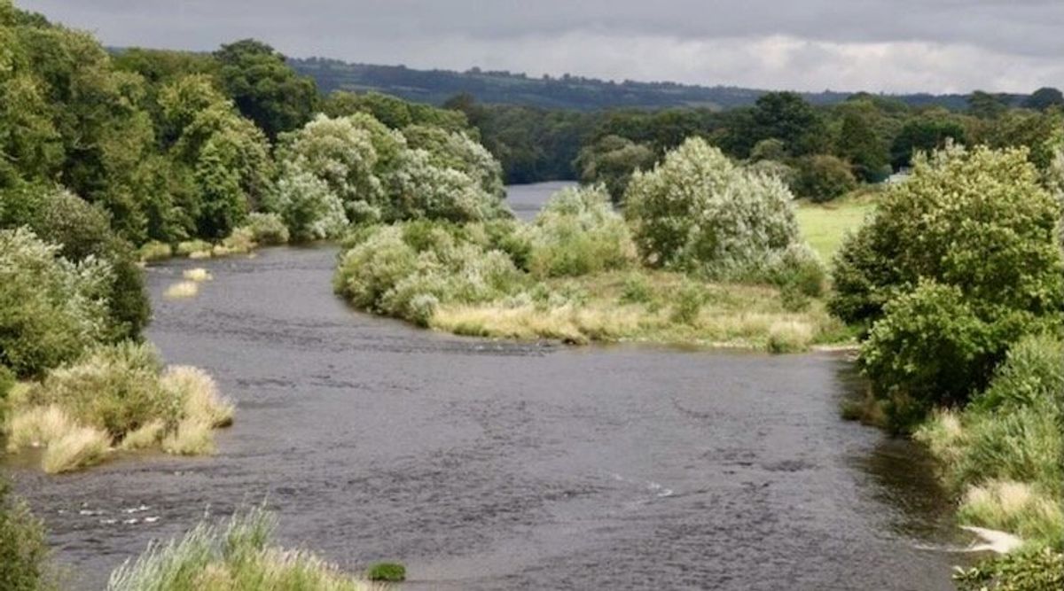 English rivers in 'desperate' state: report