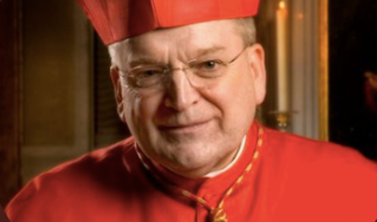 Right-wing cardinal placed on ventilator after spreading microchip conspiracies about vaccines
