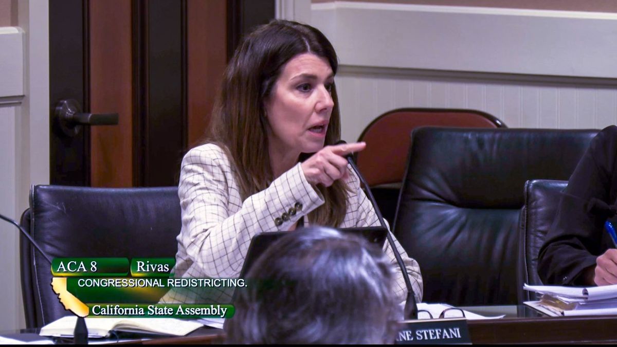 'Play stupid games, get stupid prizes!' Shouting erupts at CA hearing on TX redistricting