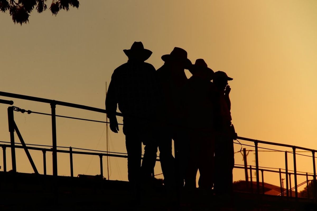 'We'll create a real void': Trump-supporting cattlemen fear workers will be deported
