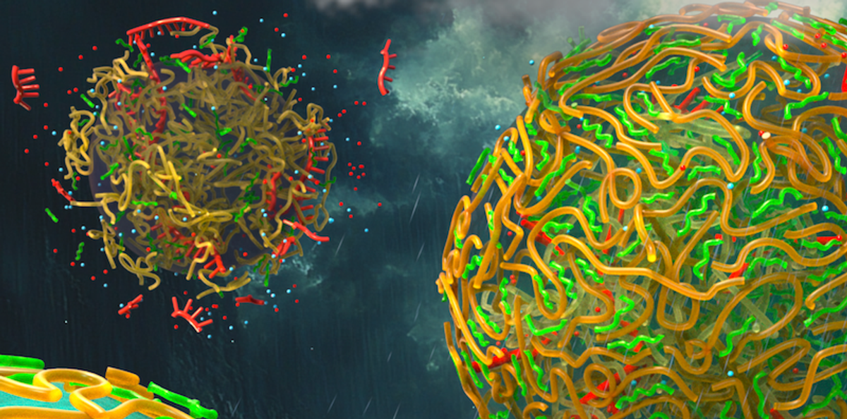 Rain may have helped form the first cells, kick-starting life as we know it