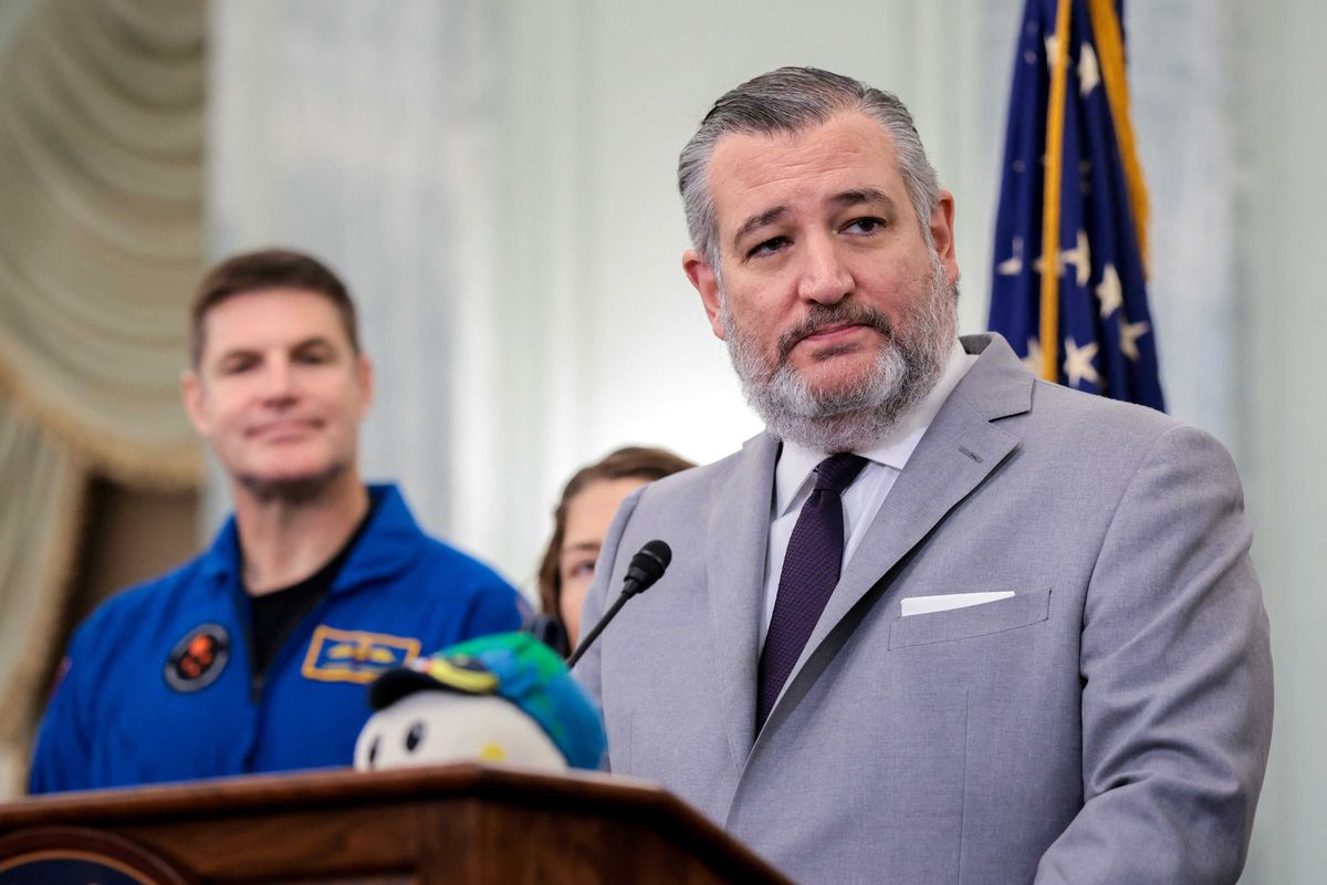 'Law & Order' star mocks Ted Cruz's midterm comments in Fox News interview