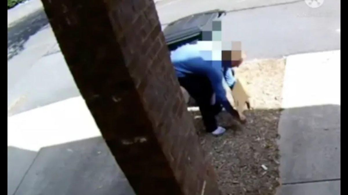 Charlotte family in shock after conservative neighbor targets them with Nazi sign – then gives ‘wild excuse’ to cops