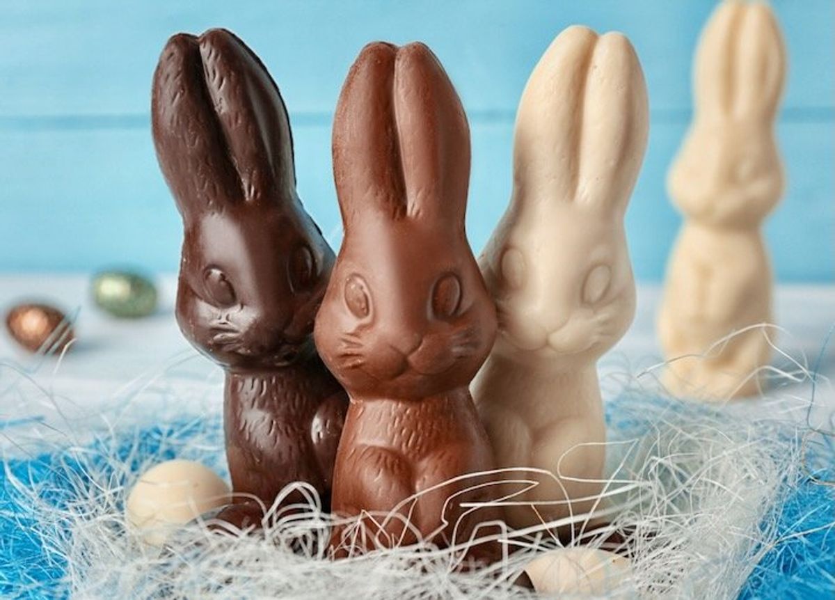 Belgian drug bunnies put the E into Easter