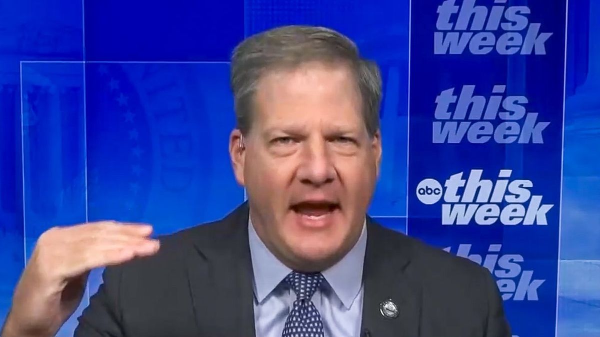 Top Trump surrogate throws fit at voters who make 'character' a 'top priority'