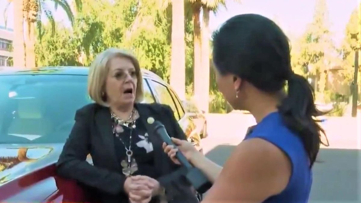'Are you saying OAN is not credible?' Arizona GOP leader incredulous after CNN confronts her over Trump-backed 'audit'