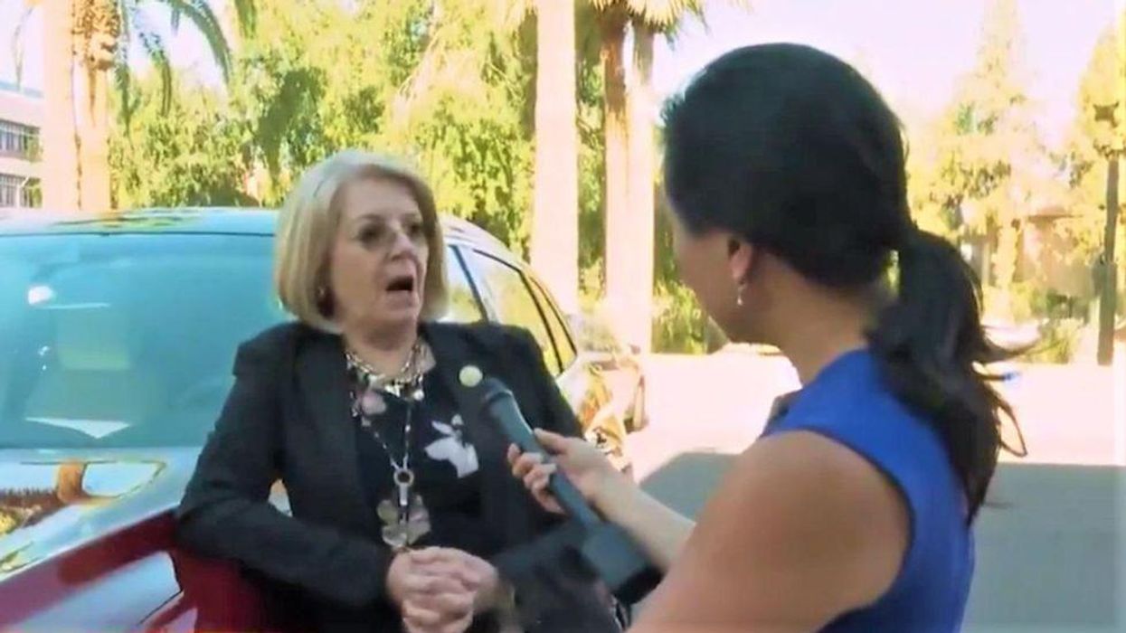 Arizona 'audit' chief rages at staffer working with the Cyber Ninjas