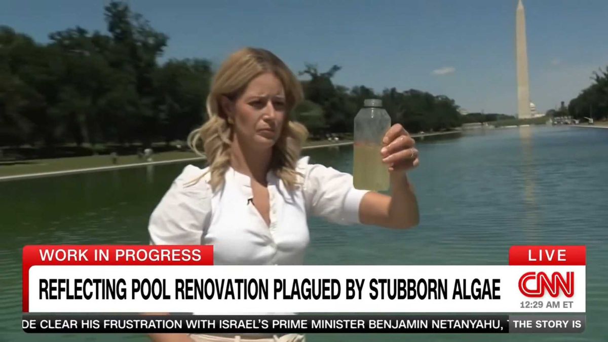 'Obsessed!' MAGA goes berserk as CNN tests water in Trump's Reflecting Pool fiasco