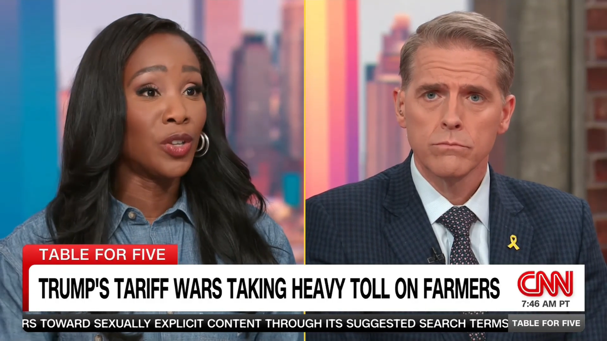 ‘Make it make sense!’ GOP strategist shut down after downplaying Trump tariff blowback