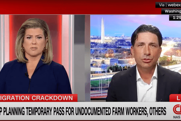 'Excuse me?' Ex-Trump official snaps as CNN host levels false claim to his face