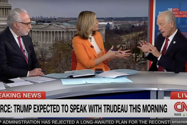 Trump adviser's CNN interview goes off the rails as he insists on discussing drugs instead