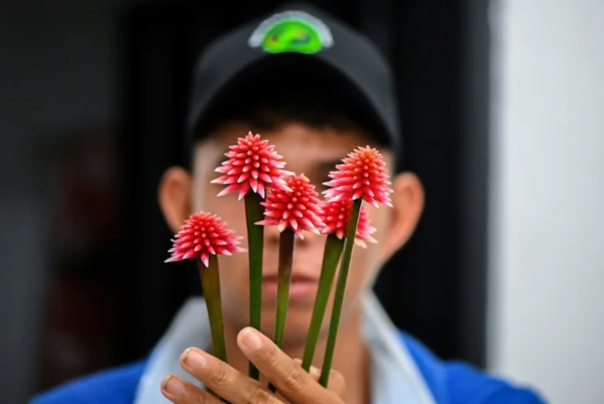 Colombia's Inirida flower: from 'weed' to emblem for UN meeting