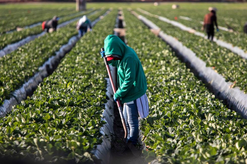 Kids at work: States try to ease child labor laws at behest of industry