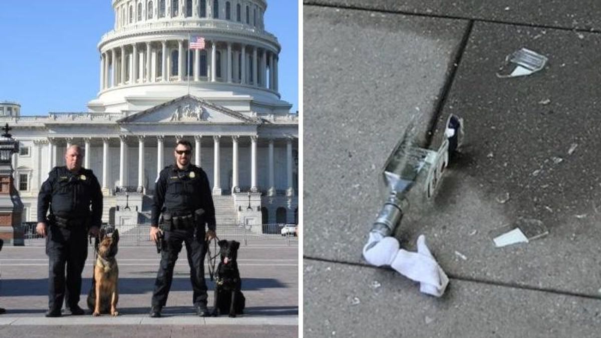 Capitol Police arrest man with two Molotov cocktails: report