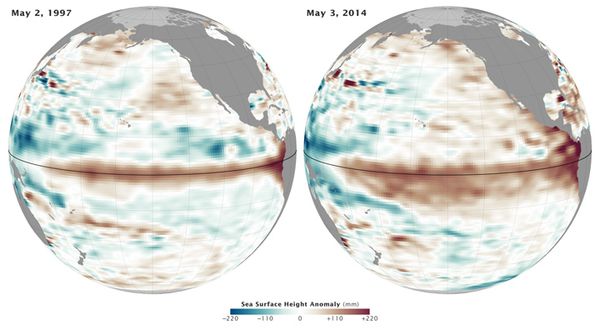 This image provides an unmistakable view of the El Niño conditions being formed