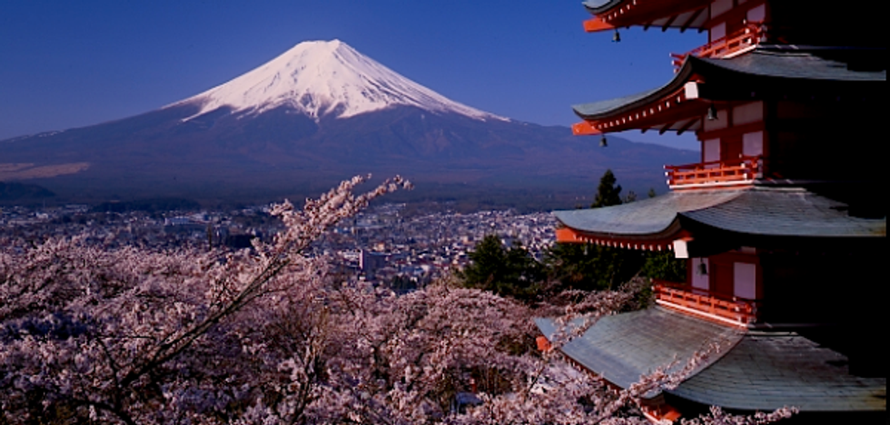 WATCH: Drone captures Fukushima desolation amid cherry blossoms