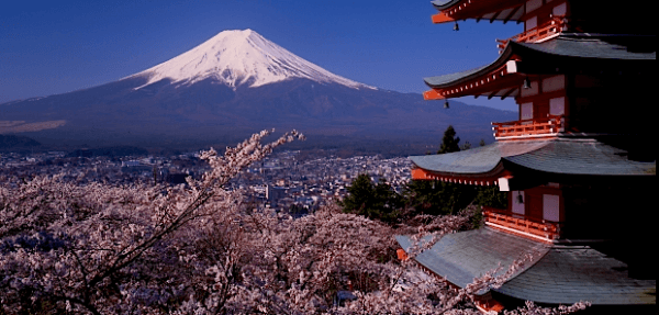 WATCH: Drone captures Fukushima desolation amid cherry blossoms