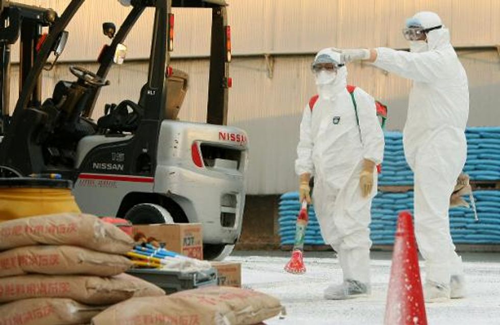 Japan orders slaughter of 112,000 chickens after H5 strain of bird flu detected