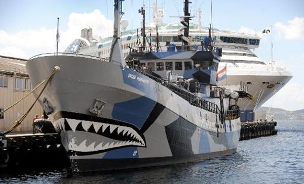 Japan asks Netherlands to take 'practical measures' against Sea Shepherd activists