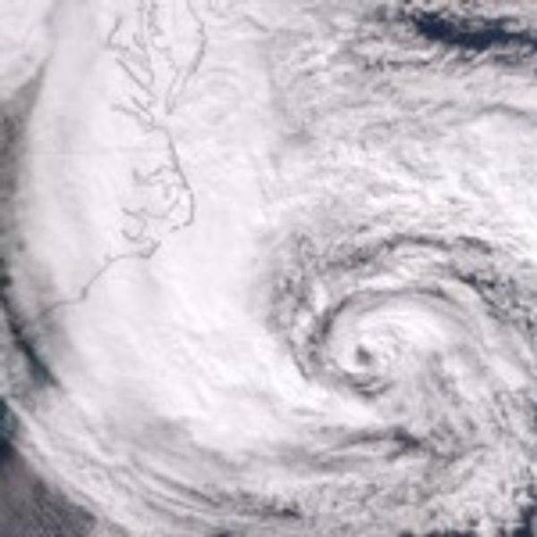 Offshore wind farms hold potential to weaken hurricanes, research finds