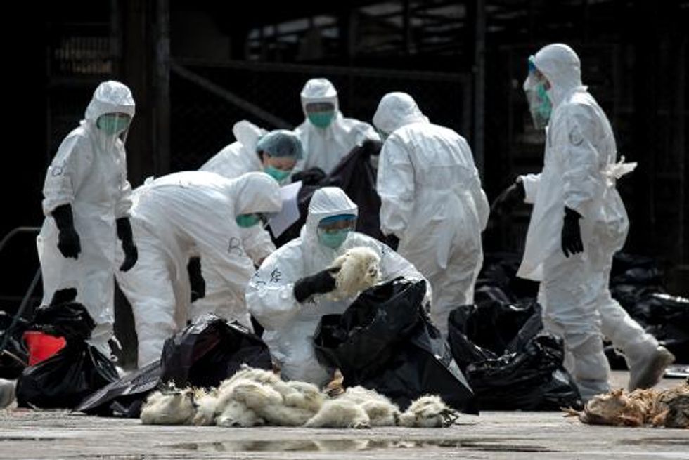 China reports three new H7N9 bird flu deaths