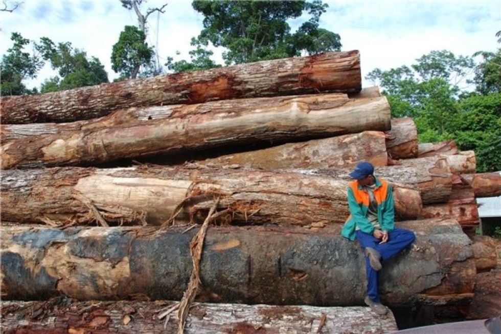 Human impact on Amazon via deforestation, logging and fires is greatly underestimated, research finds