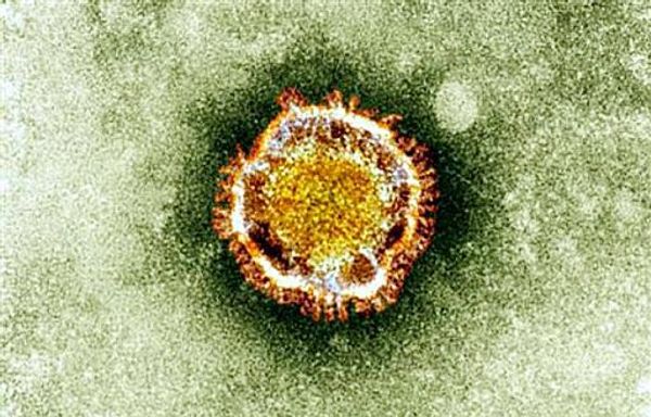 New death raises Saudi Arabia's MERS toll to 59