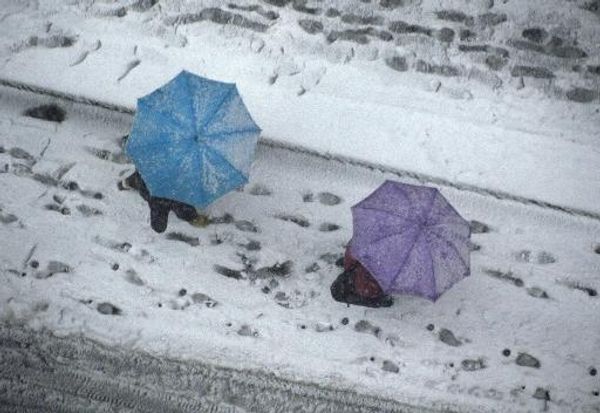 Heaviest snow in decades in Tokyo kills 11, more than 1,200 injured