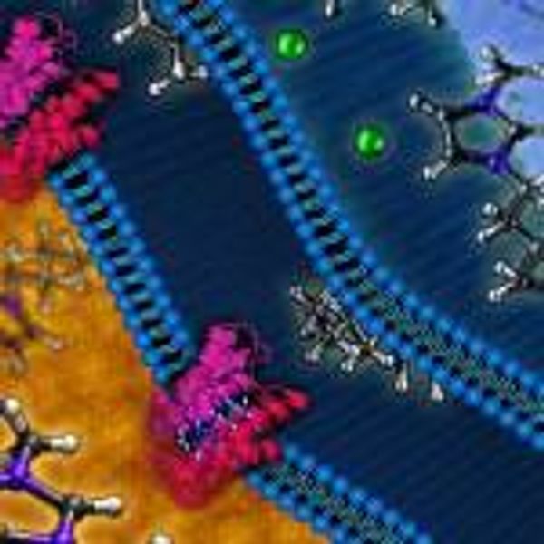 Lawrence Livermore scientists discover way to help E. coli bacteria produce advanced biofuels