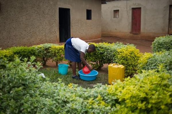 Children born of rape: forgotten victims of Rwanda's genocide