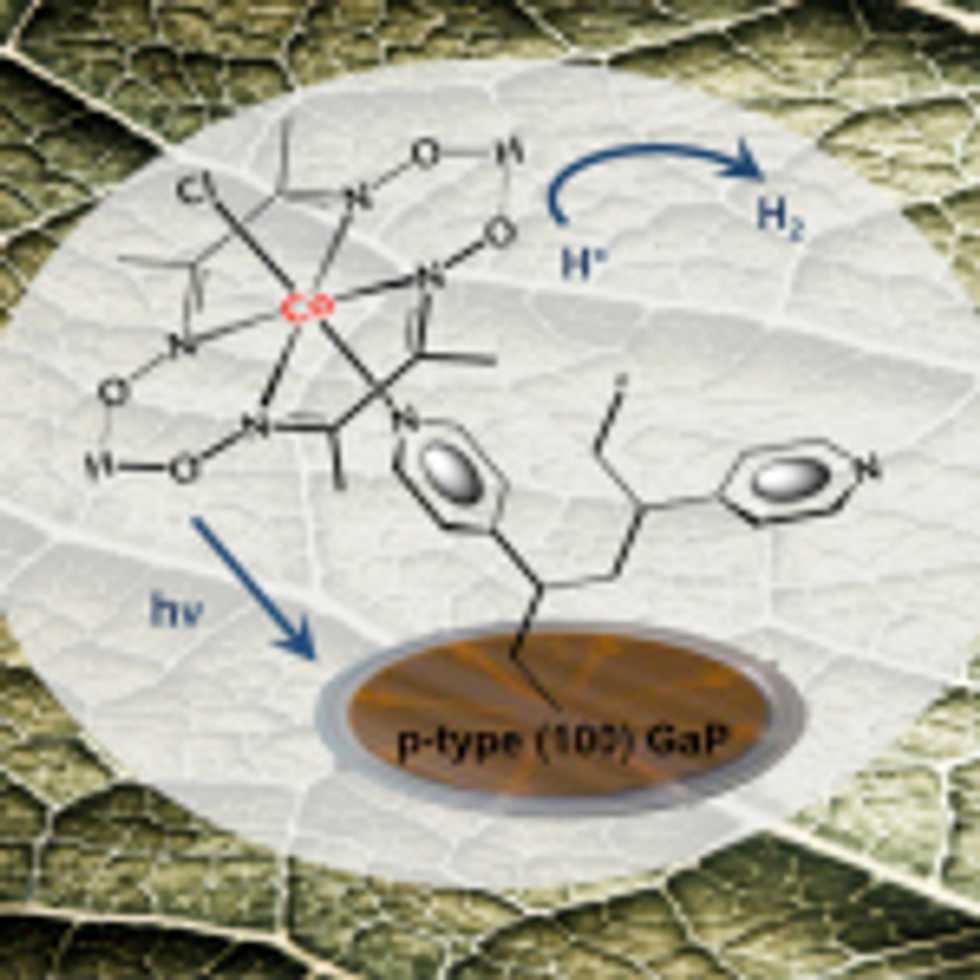 New bionic leaf could solve solar energy storage problem