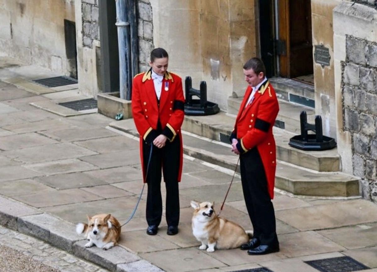 Queen's corgis take center stage at London exhibition