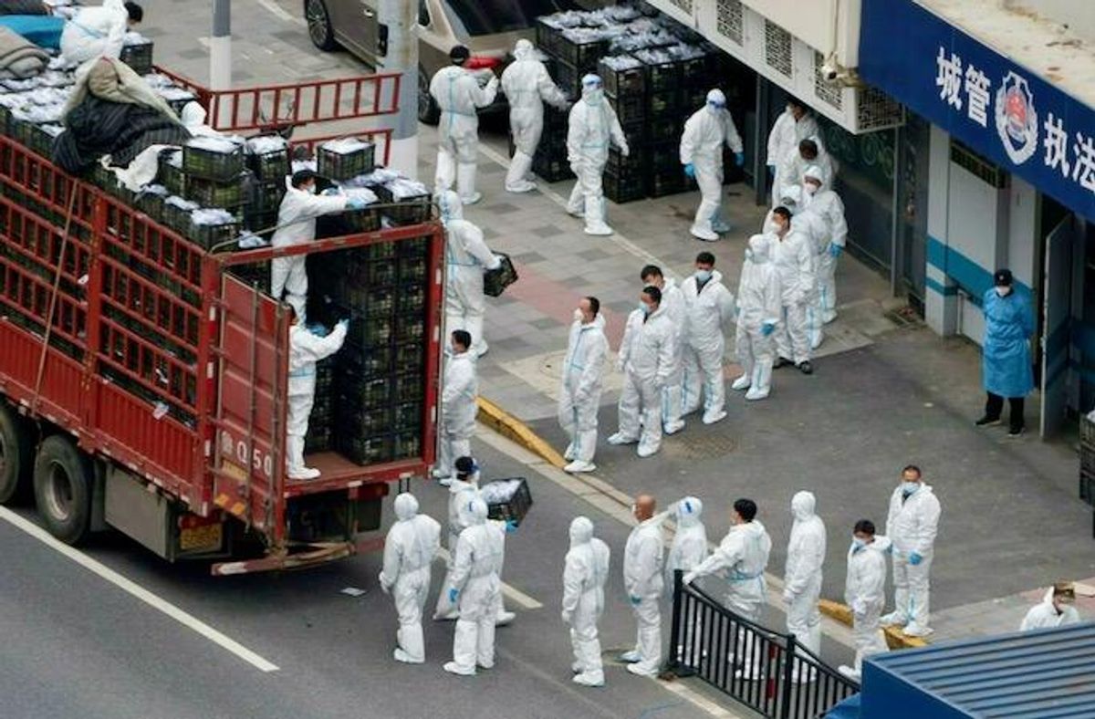 Shanghai social media unpicks China's virus lockdown story