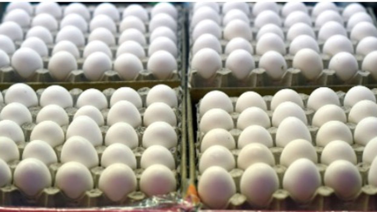 'They're everywhere': Common foods linked to elevated levels of PFAS in body