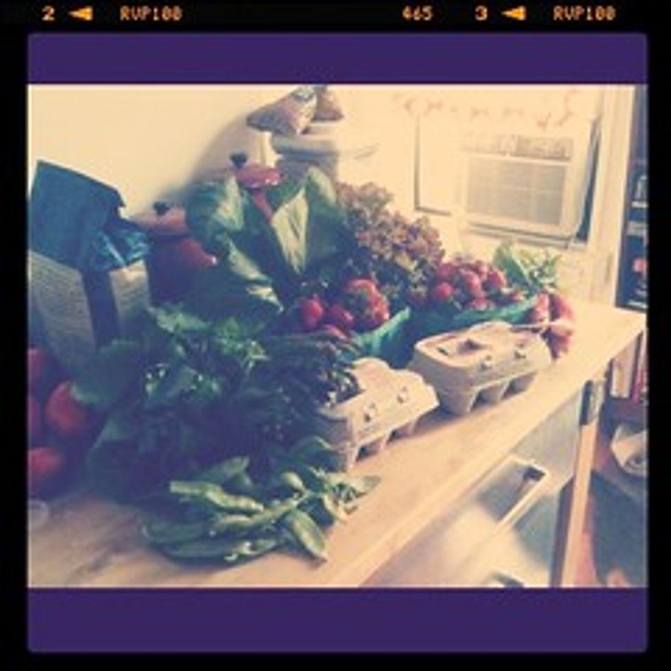 CSA Week #1