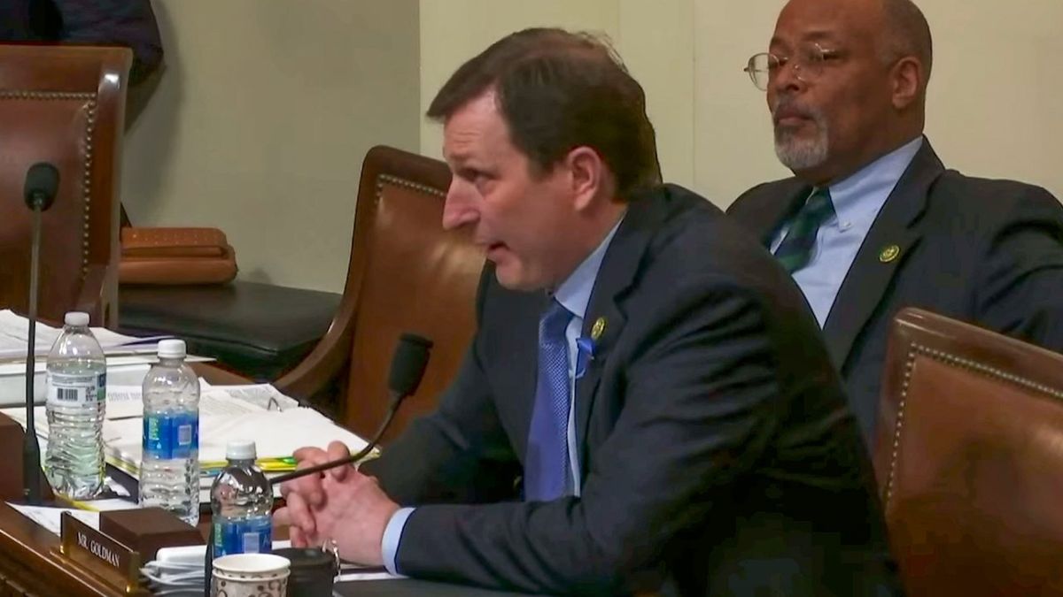 'Go look it up': Dan Goldman schools GOP rep. for distorting Trump impeachments