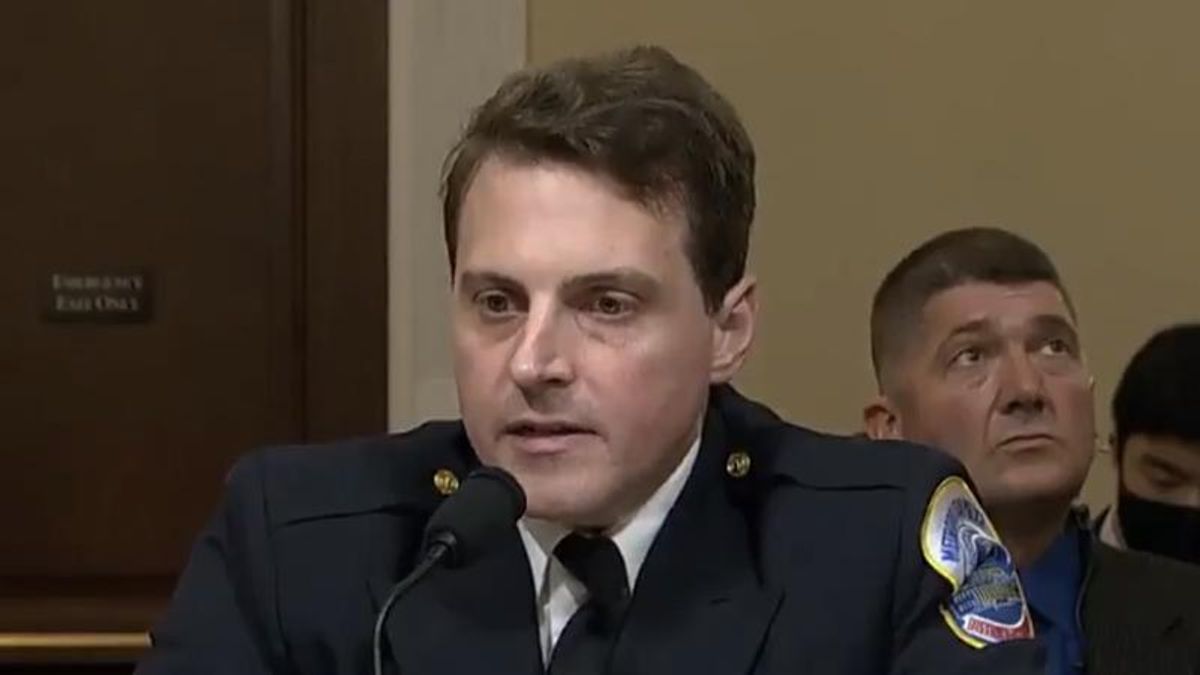 Capitol cop praised for mic drop answer on why he refers to pro-Trump rioters as 'terrorists'