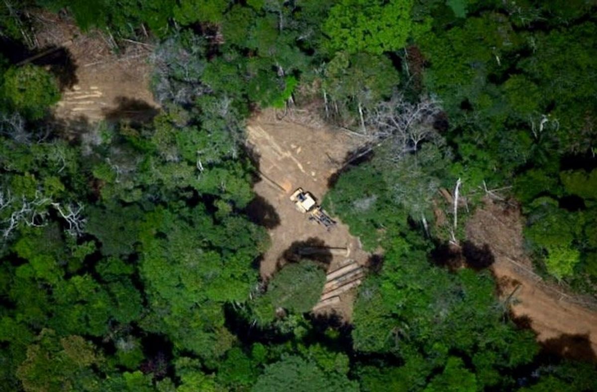 Brazil's Amazon posts lowest deforestation in nine years: govt