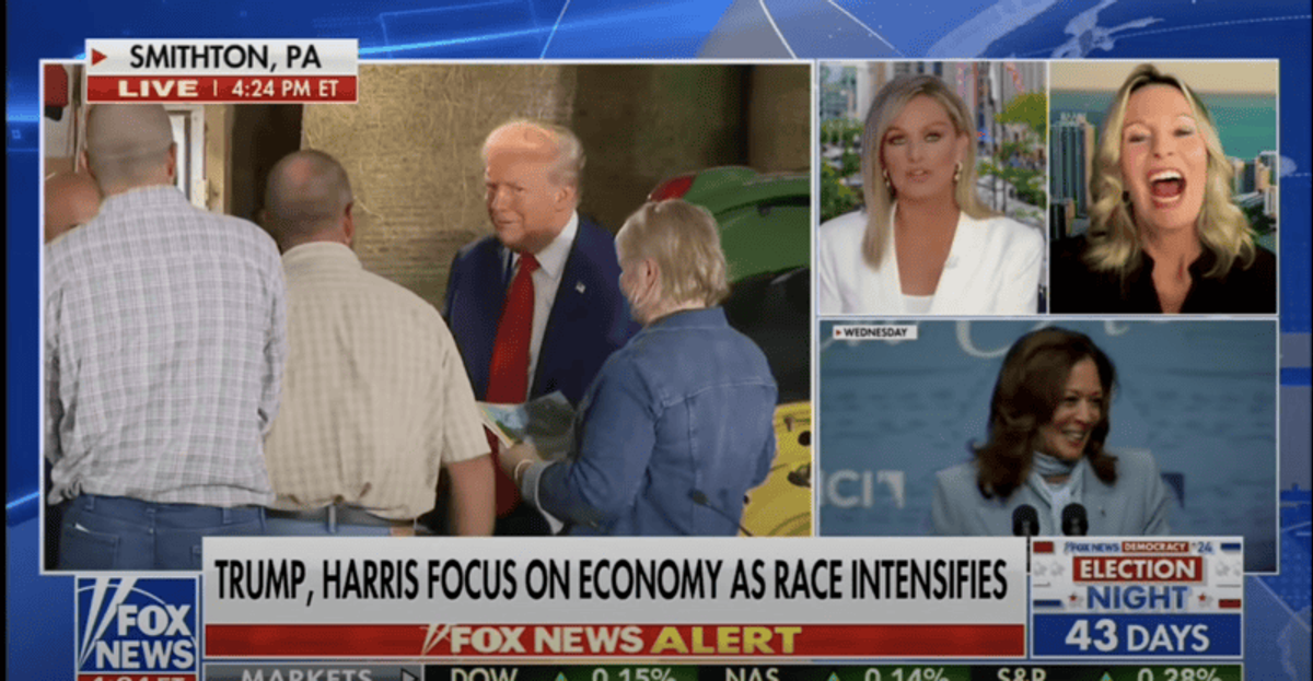 'I'm constantly being interrupted by you!' Fed-up Dem strategist spars with Fox News host