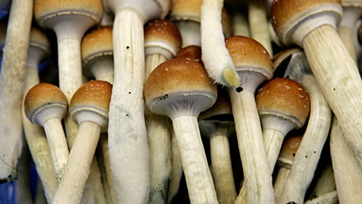 Psychedelics: how they act on the brain to relieve depression