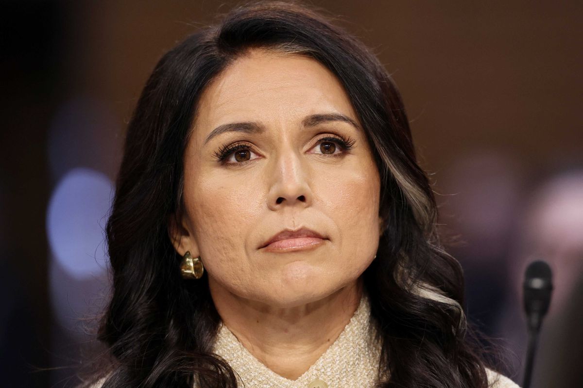 Intelligence head Tulsi Gabbard amazes with claim it's not her job to determine threats