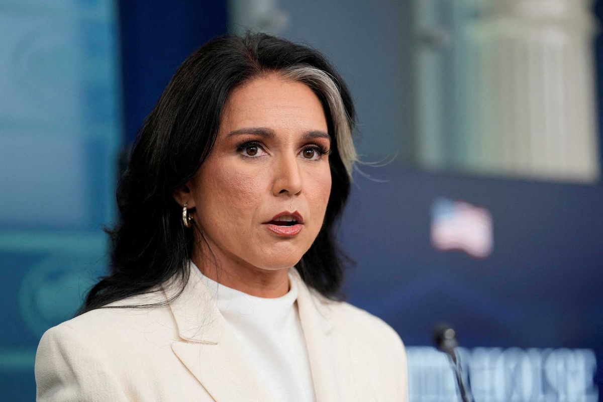 Tulsi Gabbard accused of planting a mole for 'sinister' Trump protection scheme: analyst