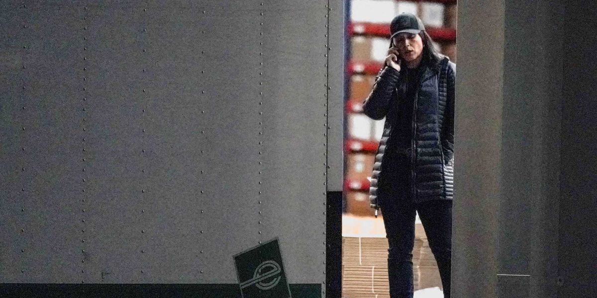 Insiders say Tulsi Gabbard running secretive vote probe without FBI: 'Doing her own thing'