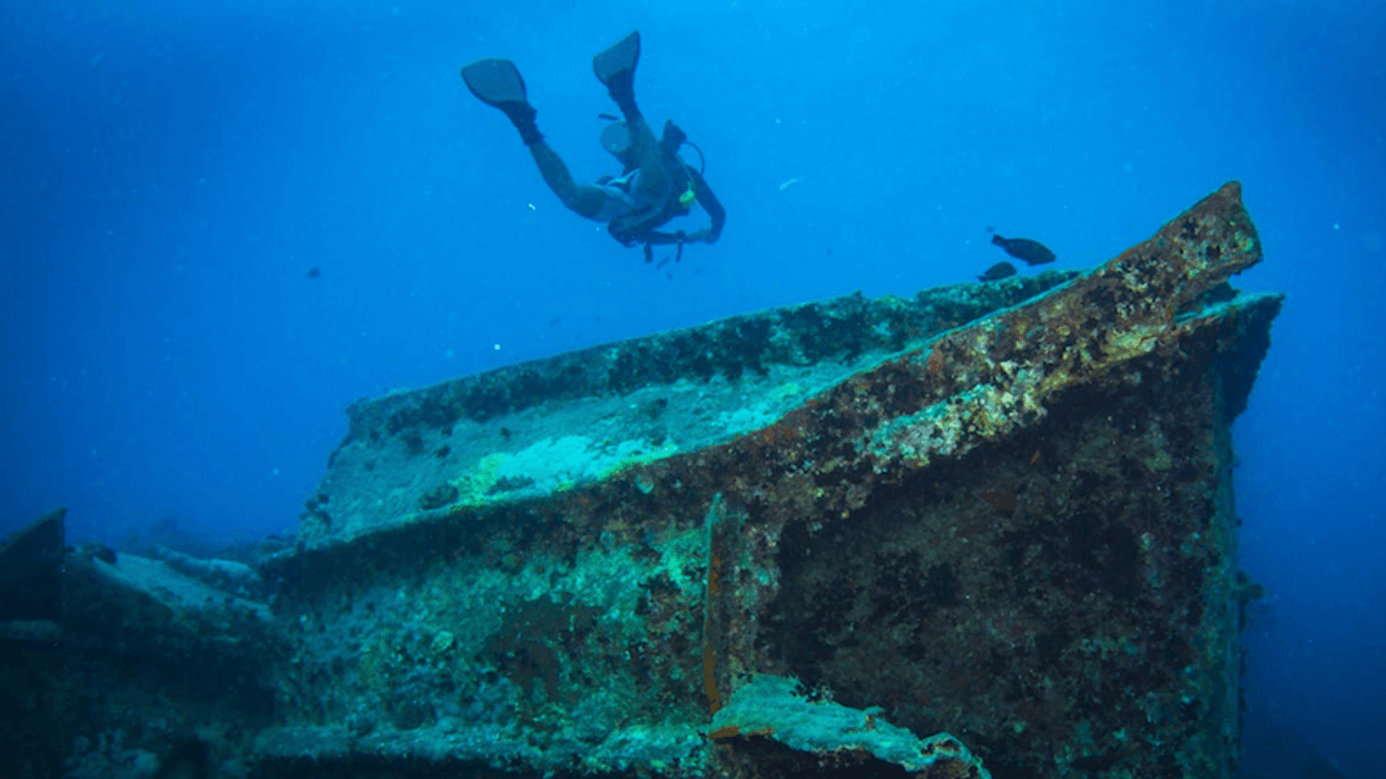Polluting shipwrecks are the ticking time-bomb at the bottom of our oceans