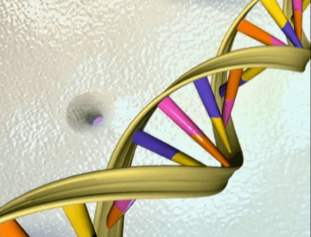 Google AI tool predicts danger of genetic mutations