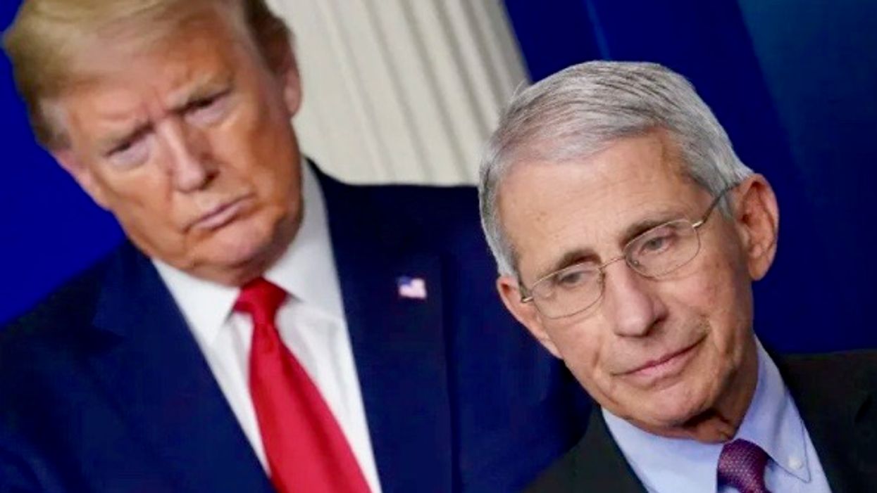 Dr. Anthony Fauci: Donald Trump’s lies ‘very likely’ cost lives