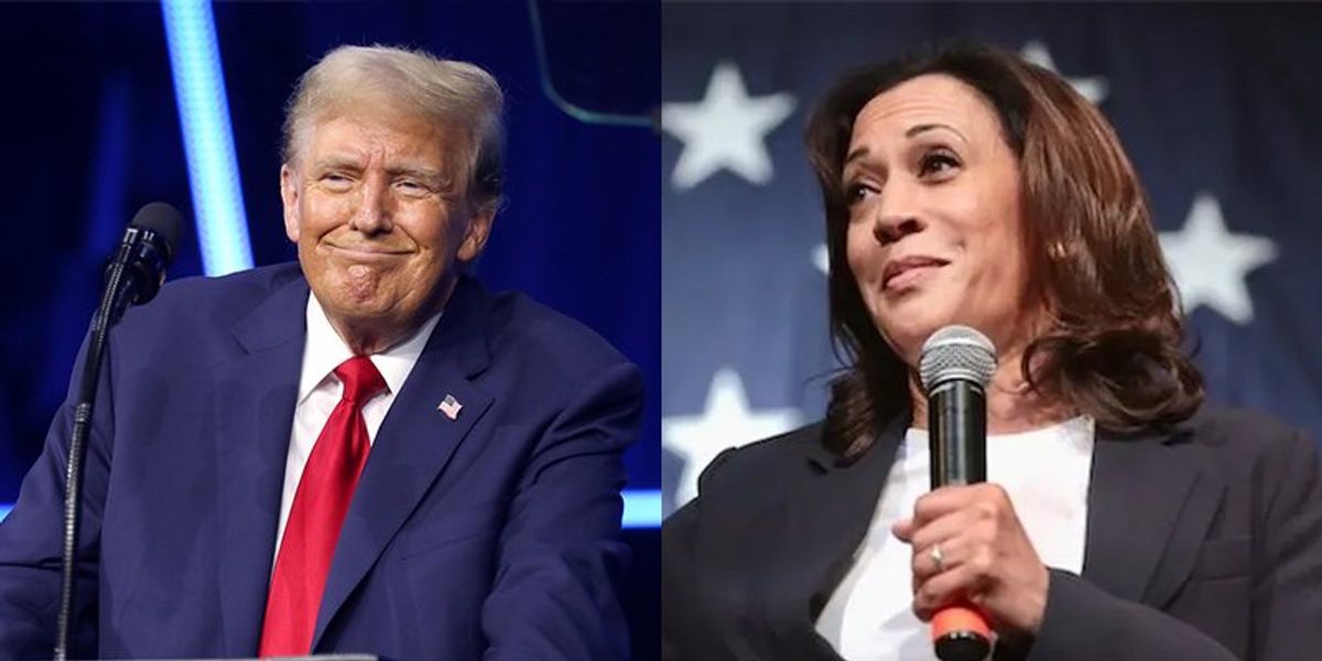 'Prosecutor, meet felon': Nicolle Wallace mocks Trump’s new race against Kamala Harris
