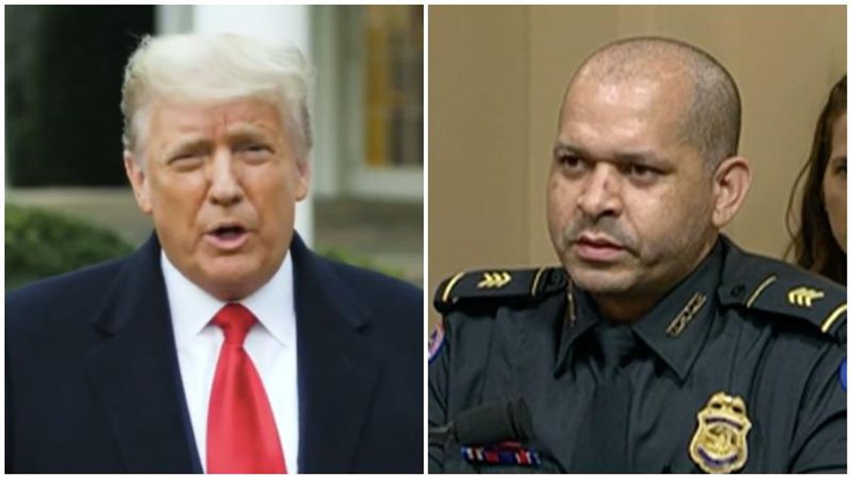 'He egged them on!' Capitol cop levels Trump for calling violent assaults 'hugs and kisses'