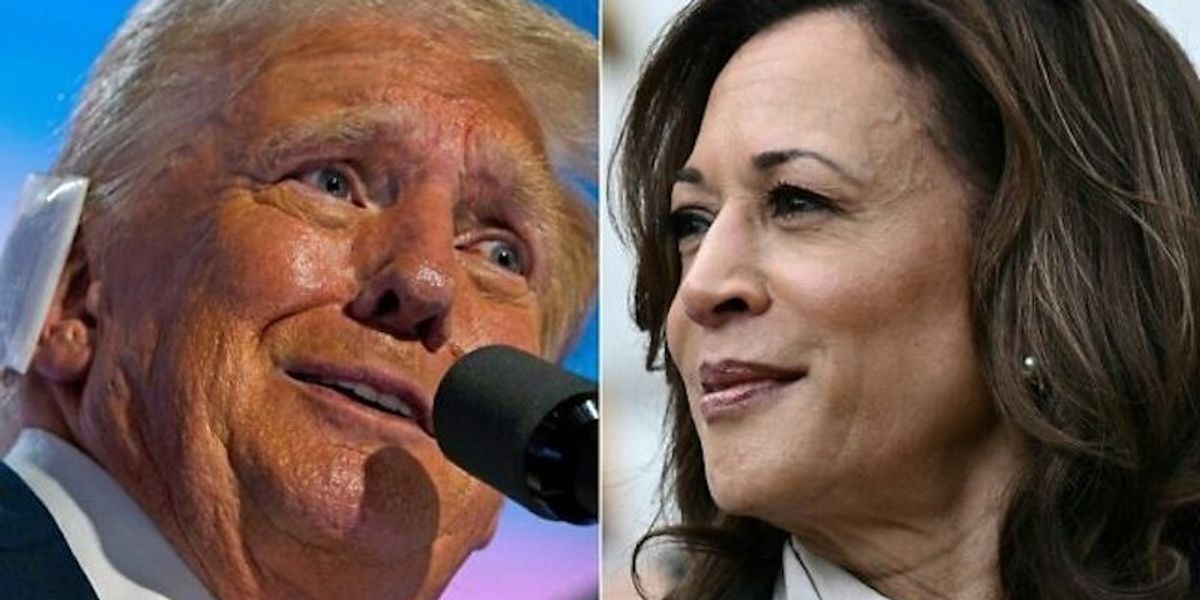 'Is that a threat?' Trump stuns observers with comment about Harris voter 'getting hurt'