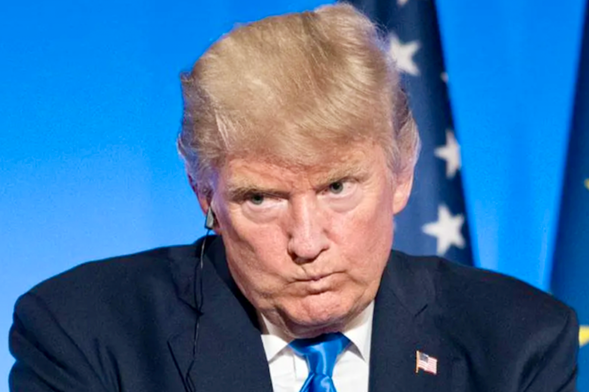 Trump campaign already claiming Democrats trying to 'steal the 2024 election'